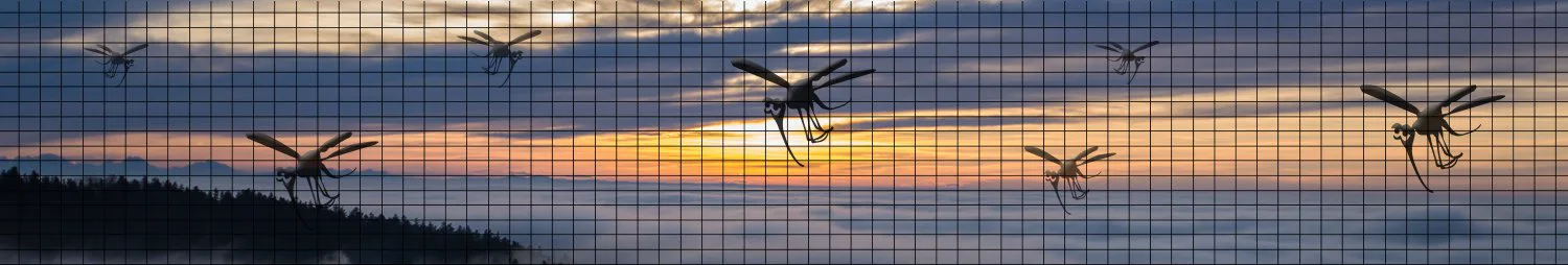 Landschaftsbildmontage mit Insekten