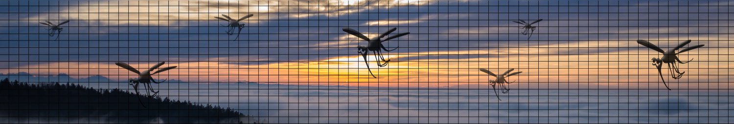 FLIEGENGITTER